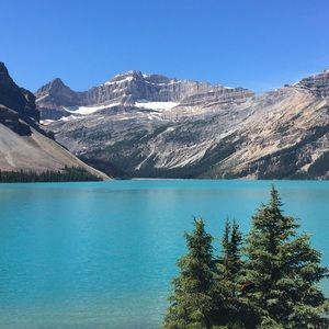 Meet your Posher, Gabby